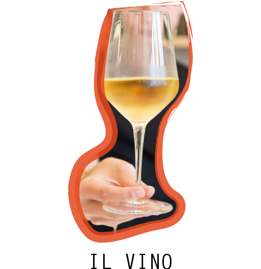 carosello-home-vino